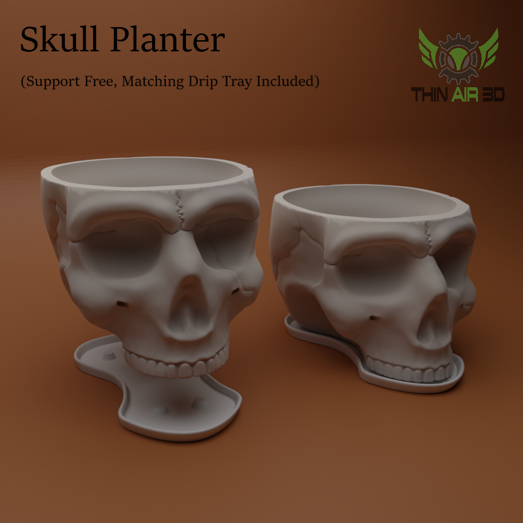 Halloween Skulls/Skull Decor - Halloween Decor